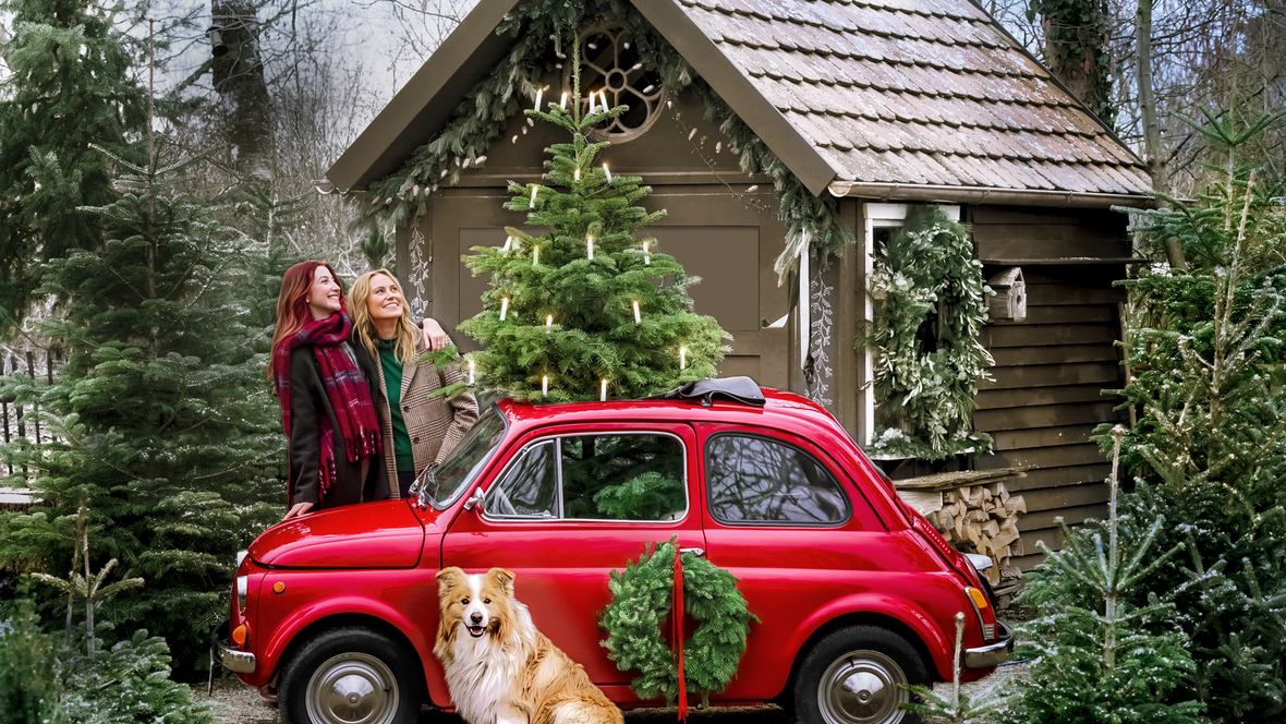 dehner-gartencenter-indoor-weihnachtsmarkt
