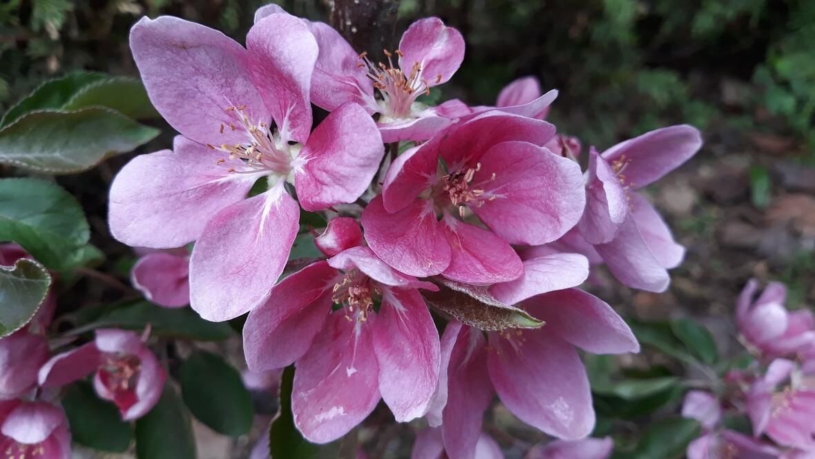 2026-01-20_19-45-37-20200419_162812