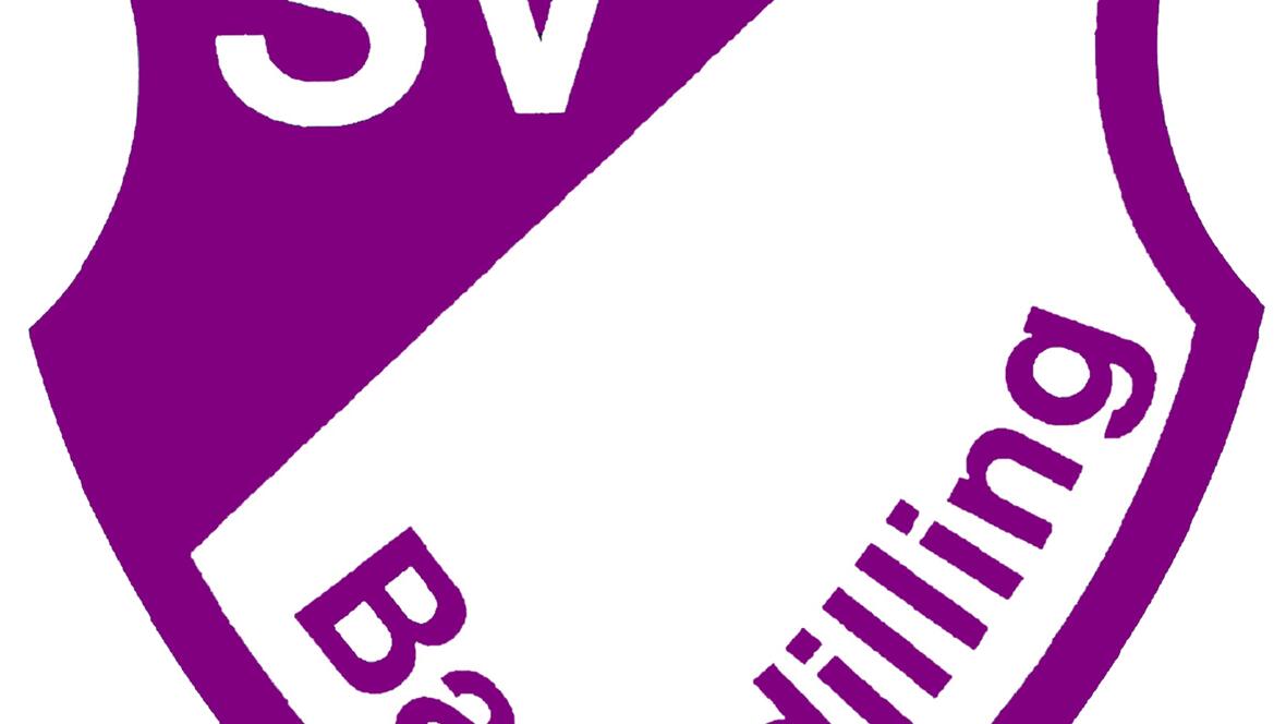 2026-06-15_21-12-43-svb_logo_5x6
