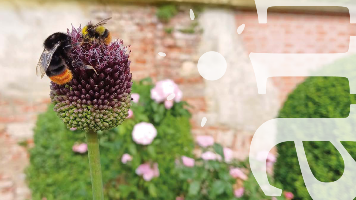 mitteilungsblatt_raininformativ_ausgabe-6-vom-28-02-2026