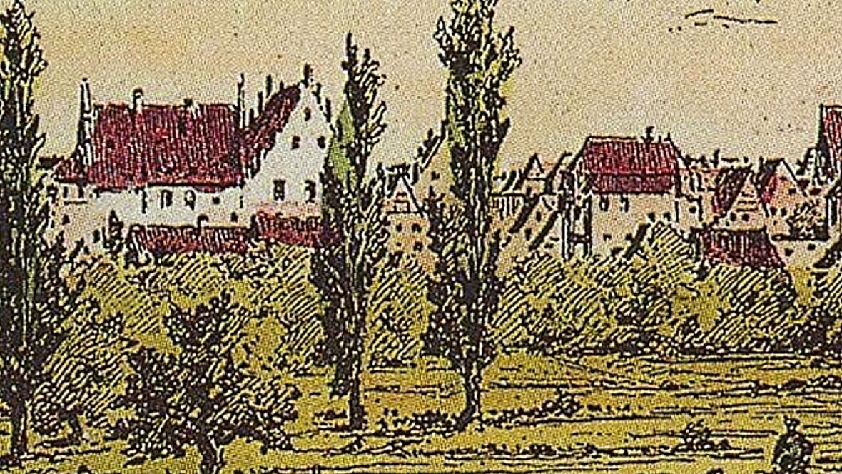 Ansicht der Stadt Rain aus dem Jahr 1895
