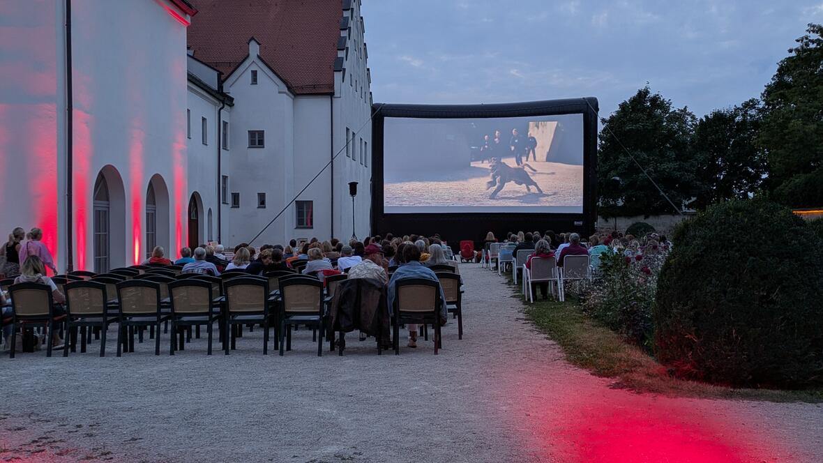 pxl_20250820_182954551