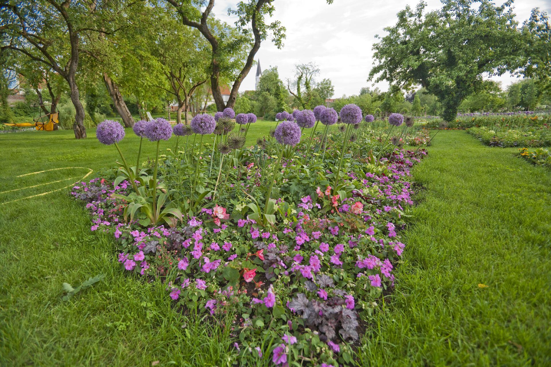 Bilder Und Filme - Stadt Rain - Die Blumenstadt An Der Romantischen Straße