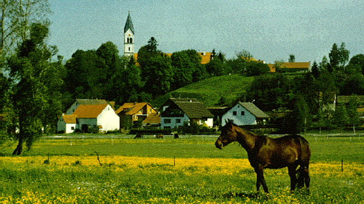 altes-bayerdilling