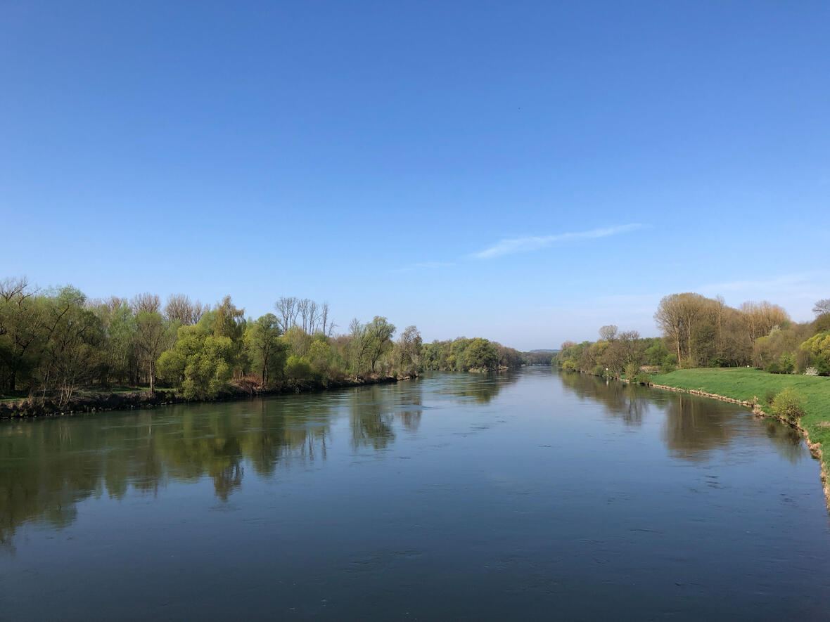 Mündung des Lech in die Donau bei Marxheim