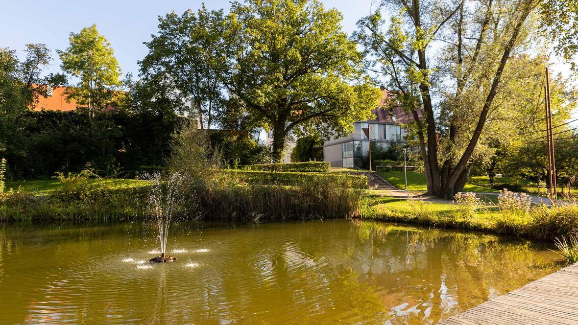 Teich im Stadtpark Rain