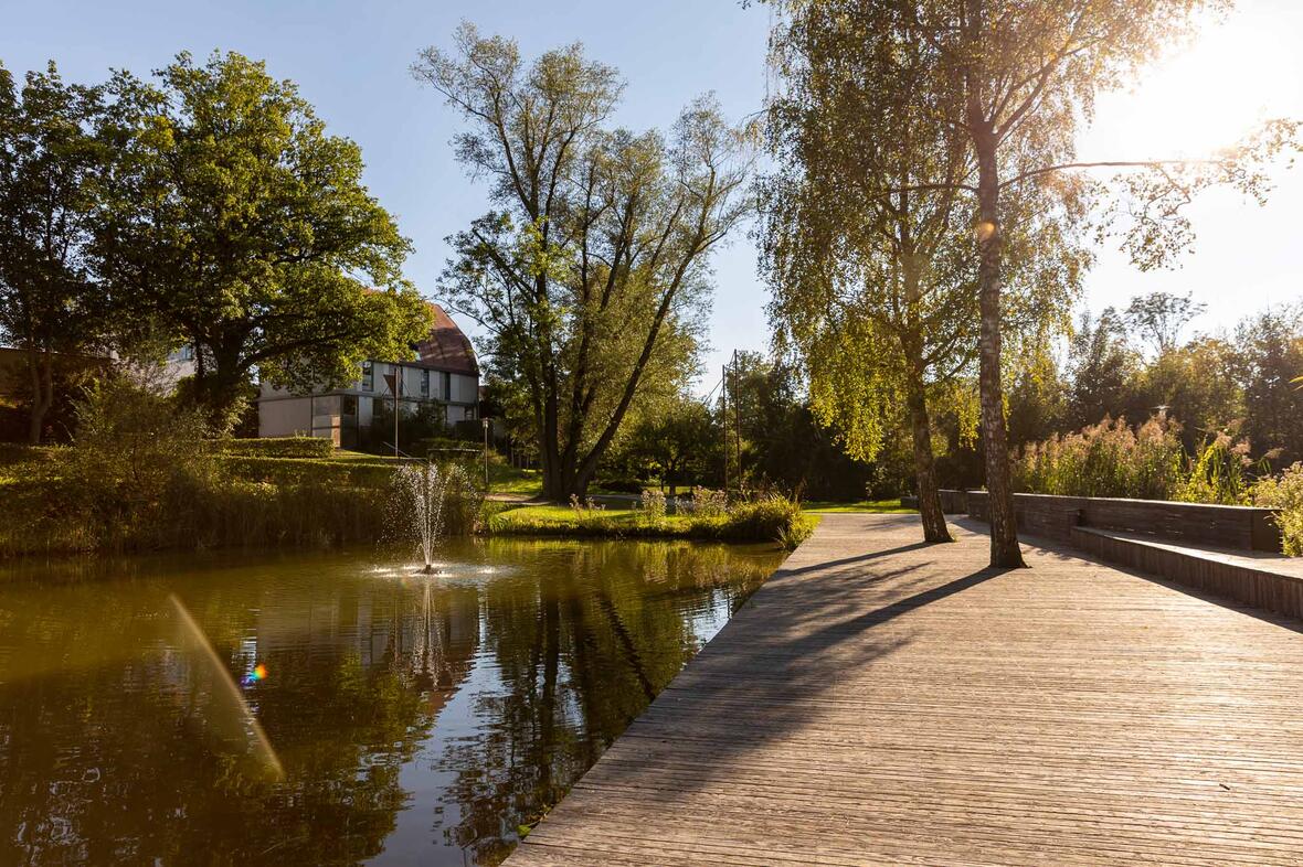 Schlossweiher Rain am Lech