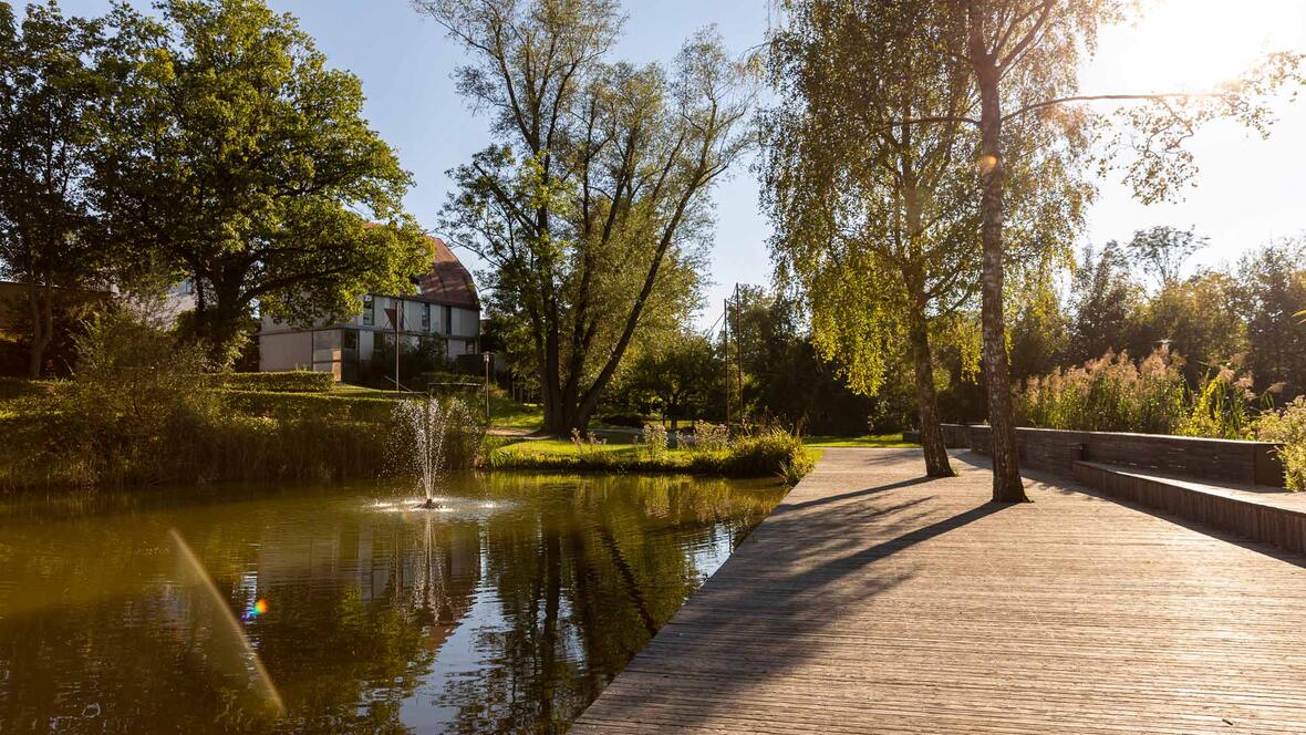 Schlossweiher Rain am Lech