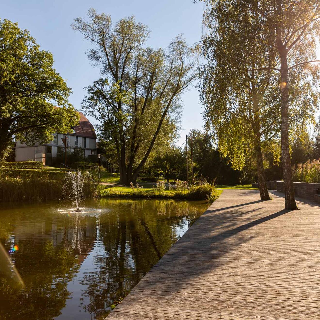 Schlossweiher Rain am Lech