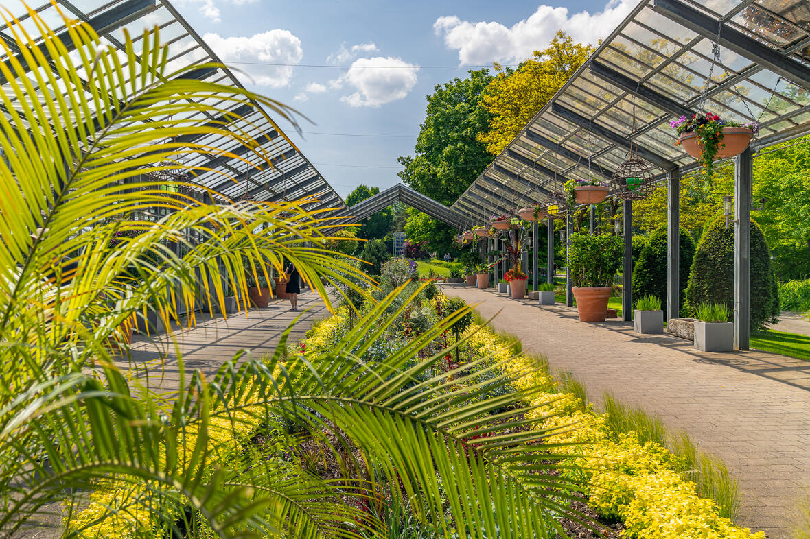 Dehner Blumenpark in Rain am Lech