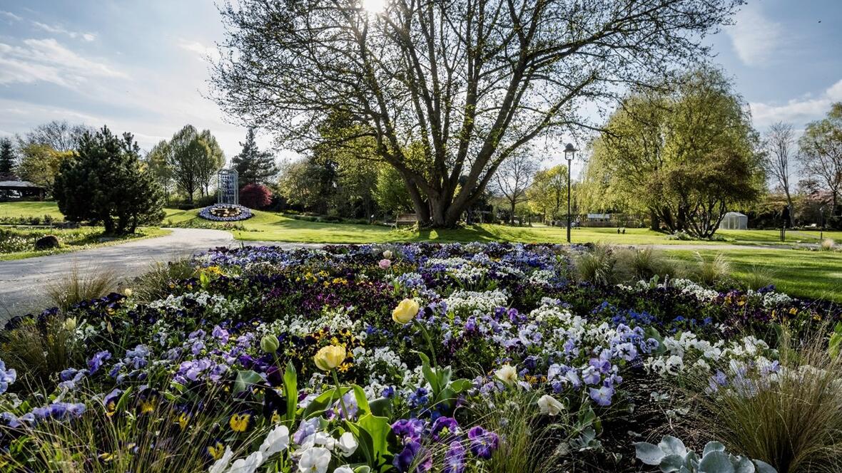 Dehner Blumenpark in Rain am Lech
