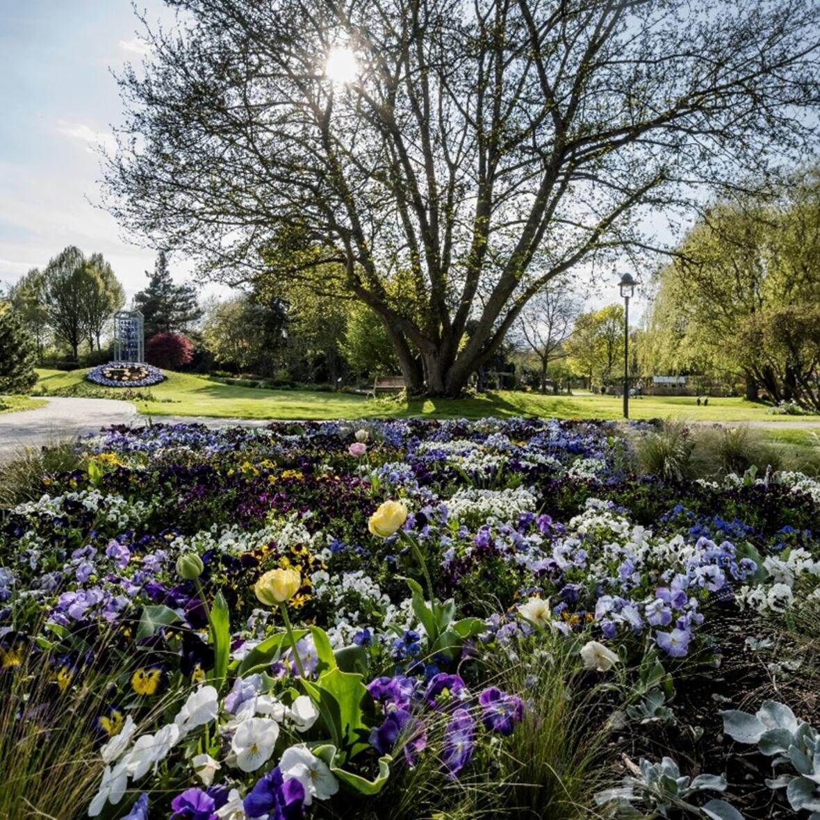 Dehner Blumenpark in Rain am Lech