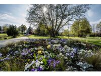 Dehner Blumenpark - Stadt Rain
