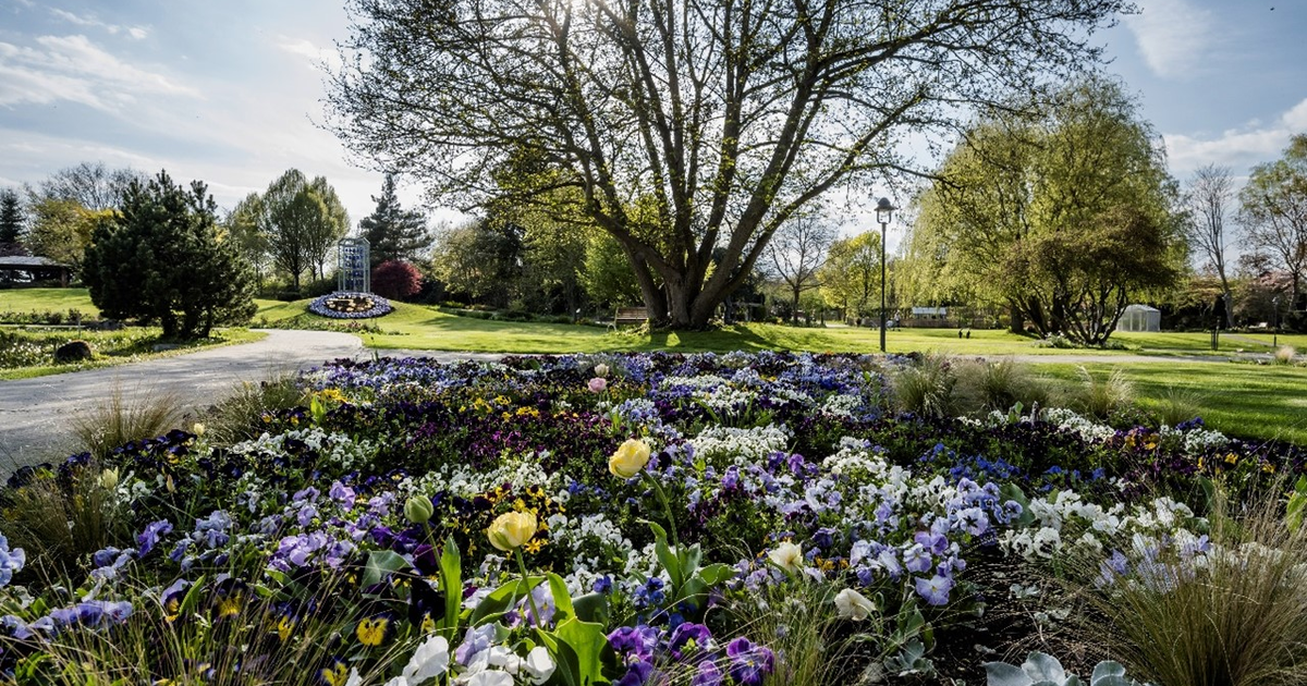 Dehner Blumenpark - Stadt Rain
