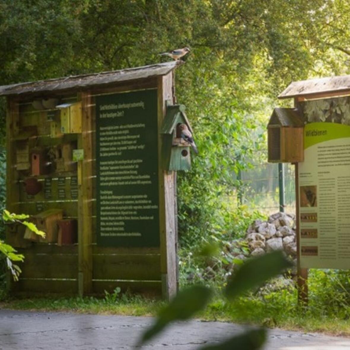 Dehner Naturlehrgarten in Rain am Lech