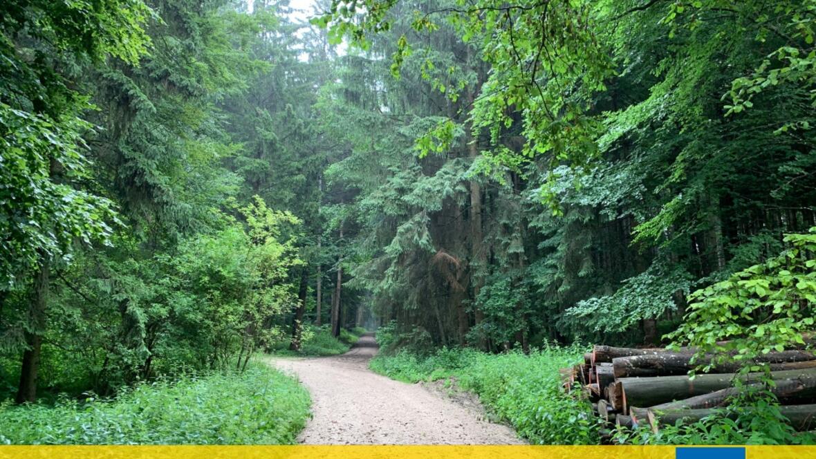 rundweg_esterholz