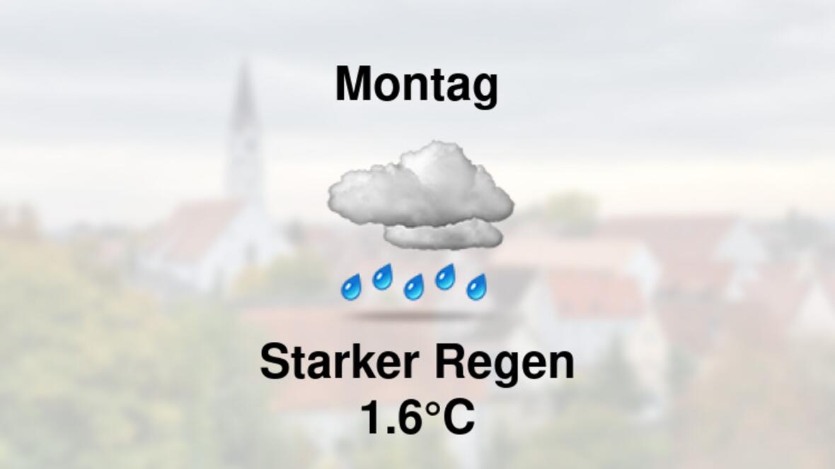 <a href="https://stationsweb.awekas.at/index.php?id=8292" target="_blank">https://stationsweb.awekas.at/index.php?id=8292</a>