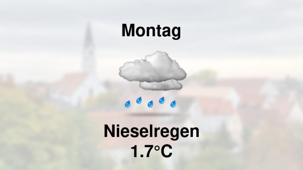 <a href="https://stationsweb.awekas.at/index.php?id=8292" target="_blank">https://stationsweb.awekas.at/index.php?id=8292</a>