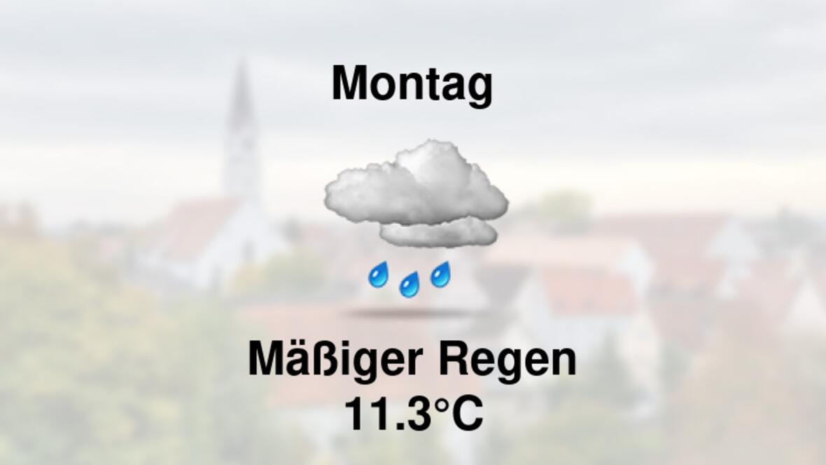 <a href="https://stationsweb.awekas.at/index.php?id=8292" target="_blank">https://stationsweb.awekas.at/index.php?id=8292</a>
