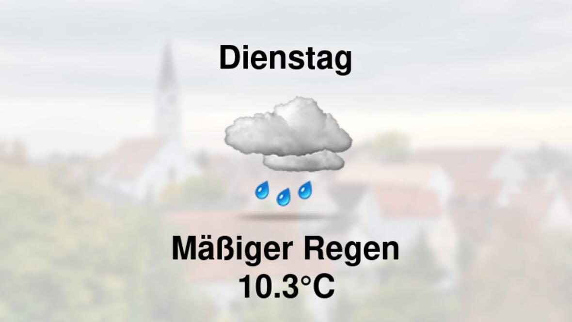 <a href="https://stationsweb.awekas.at/index.php?id=8292" target="_blank">https://stationsweb.awekas.at/index.php?id=8292</a>
